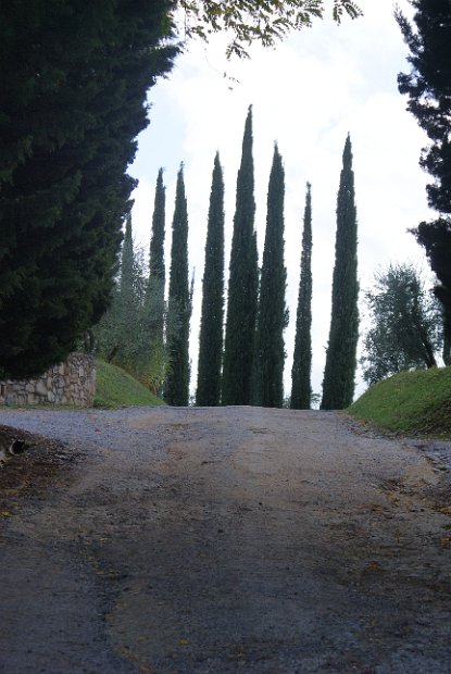 Chianti-2 2016 - 103